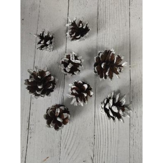 Шишки крашеные цв. белый 3-6 см, цена за 1 шт